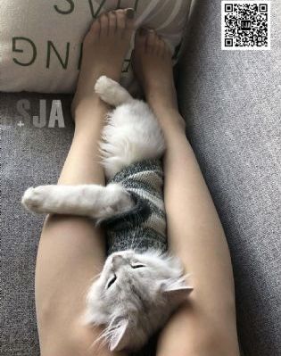 就算是爸爸也想谈恋爱的动漫_4K免费观看最新
