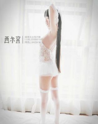 新星电视剧免费观看全集_BD国语电影全集观看